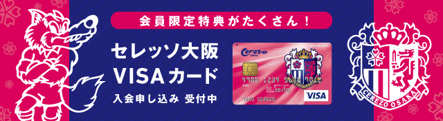 visa_banner